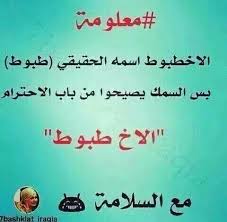 معلومة هامة اتثقفوا هههههههههههههههه funny quotes funny comments arabic funny