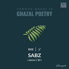 There are always several meanings of each word in urdu, the correct meaning of lawnmower in urdu is گیاہ تراش, and in roman we write it giyah taraash. Faad Magician Meaning In Urdu