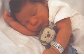 Randy Rodriguez Jr. (2011-2011)