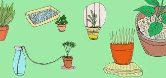 If you have a few plants that don't require a lot of water, such as succulents, you might be able to get away with a single jug for 2 or 3. 6 Diy Tips For Watering Your Houseplants While Away On Vacation The Secret Yumiverse Wonderhowto