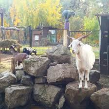 Im haus finden sich naturbezogene ausstellungen, zudem gibt es terrarien, aquarien und volieren. Zoo Haus Natur Und Umwelt Aufnahme Von Fez Berlin Tripadvisor