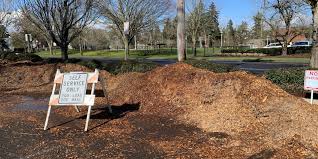Check spelling or type a new query. Salem S Bush S Pasture Park Still Has Free Wood Chips Available