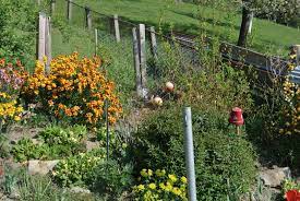Deshalb unterstützen wir dich wo es geht. Wie Plane Ich Meinen Garten Garten Von Pascale