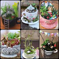 14 Cute Teacup Mini Gardens Ideas Fairy Terrarium Fairy Garden Diy Mini Garden