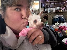 Diane Parrella's Instagram, Twitter & Facebook