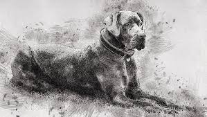 Custom dog portraits, cat portraits, all animals! Pet Portrait Custom Dog Portrait Custom Dog Portrait Watercolor Pet Portrait Dog Painting Custom Dog Digital Art By Lena Str