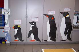 Life Size Penguin Chart To A Penguin Measure