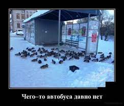 Смешные демотиваторы (25 картинок) от 17 мая 2018 | Екабу.ру -  развлекательный портал