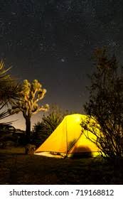 Tent Camping Joshua Tree National Park Stock Photo Edit Now 719168812