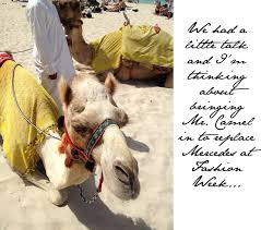 Can anyone help me with this? Fashionable Adventures With A Camel In Dubai Fashion Foie Gras