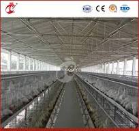 Bestchickencage China Layer Hen House Supplier OEM Customized Hot  Galvanized Surface Treatment a Type Layer Cage Configuration Chicken Coops  Hen Houses Wooden
