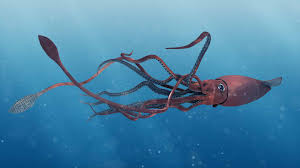 Image result for Giant Squid