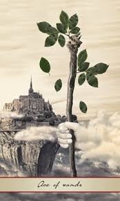 It can represent the birth of a male similarly to how the ace of cups can represent the birth of a female. Card Meaning Of Ace Of Wands Lotus Tarot