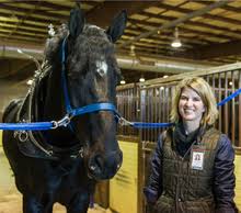Cornel's Equine Seminar Series Presents "Let's Take a Closer Look:  Endoscopy in Veterinary Medicine"