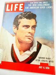 Even Bees Have Headaches. Life is a Story