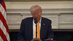 @elonmusk's video Tweet