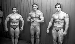 Arnold worldwide, an american advertising agency arnold town f.c. Arnold Schwarzenegger Greatest Physiques