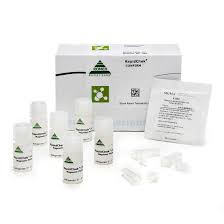 The organism salmonella enteritidis , a common cause of gastroenteritis (a form of food poisoning), has been found to be transferred through the hen ovary in fewer than 1 percent of all eggs produced. Rapidchek Select Salmonella Enteritidis Confirmation System