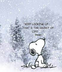 Pin On Quotes