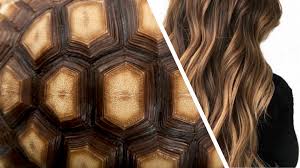 Il castano scuro sarà la nuance più cool per l'autunno. Capelli Castani Illuminateli Con Il Tortoise Shell Parrucchierando