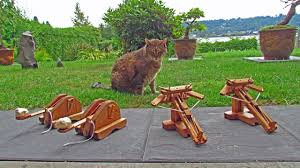 Now you can build any shed in a weekend even if you've zero woodworking experience! A Few Woodworking Hobby Projects Engines Of Destruction Youtube