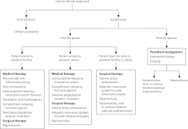 Uterine Fibroids Diagnosis And Treatment American Family