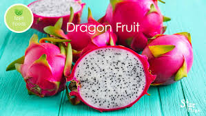 Check out our food dragon selection for the very best in unique or custom, handmade pieces from our shops. Spirit Food Dragonfruit Star Magic