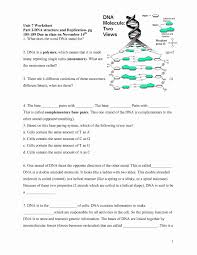 An atom or group that donates electron density to neighboring usually electron donating groups will make a base more basic and an acid less acidic. 11 Superlative Structure Of Dna Worksheet 2nd Grade Math Word Problem Pdf Clock 1 Prechool Panih 1t Challenge Miing Addend Firt Calamityjanetheshow