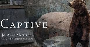 Captive By Jo Anne Mcarthur Indiegogo Mcarthur Animals Fun Facts About Animals
