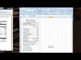 Editable nutrition label template design consumers are increasingly interested in the nutritional panel on food and drinks. How To Make Your Own Excel Template For Nutrition Facts Computer Tips Youtube