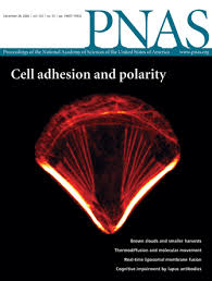 List of Issues | Proceedings of the National Academy of Sciences