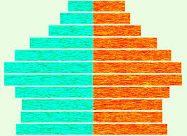 Types of population pyramids and what they mean. What Population Pyramids Reveal About The Past Present And Future Wiscontext