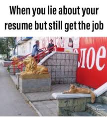 Lied On Your Resume Meme Best Resume Examples