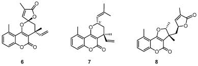 Image result for Ethulia vernonioides