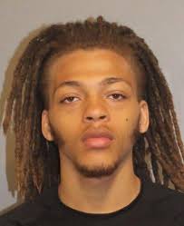 Old crime in 1800s Roseville, Illinois history