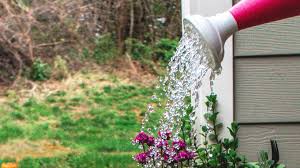 Check spelling or type a new query. The Best Balcony Irrigation System To Make Your Balcony Gardening Easier Balcony Accents