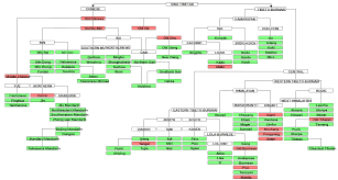 Sino Tibetan Language Family Language Chinese Language