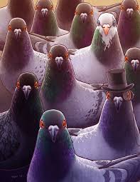 Pigeons Cute Pigeon Bird Art Bird Drawings