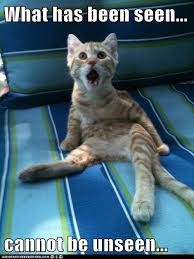 What Has Been Seen Cannot Be Unseen Lolcats Lol Cat Memes Funny Cats Funny Cat Pictures With Words On Them Funny Pictures Lol Cat Memes Lol Cats