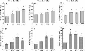 A cactus is a crop introduced in the november 20, 2020 update. Endophytic Bacteria Improve Seedling Growth Of Sunflower Under Water Stress Produce Salicylic Acid And Inhibit Growth Of Pathogenic Fungi Springerlink