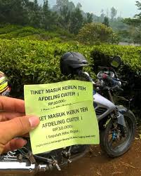 Pengunjung atau wisatawan tidak perlu bersusah payah melewati jalan kecil untuk mencari lokasi yang diinginkan. Subang Info Kawasan Kebun Teh Dibuat Tiket Masuk Facebook