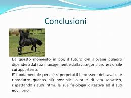 Di seguito sono elencate le regole speciali in base alle quali viene scelto il nome del cavallo futuro. Esigenze Nutrizionali Del Cavallo Dr Ssa Mariarosaria Manfredonia