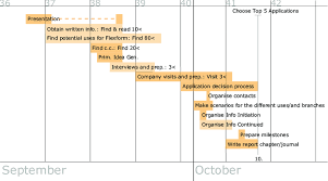 1 Gantt Task Chart For The 1 St Project Phase Download