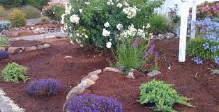 Luckily a cut above lawn care isn't a typical lawn care company. Mulch Gardens A Cut Above Lawn Care Ri Landscaper 855rilawns