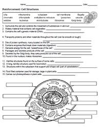 May 15, 2021 · the animal cell is made up of several structural organelles enclosed in the plasma membrane, that enable it to function properly, eliciting mechanisms that benefit the host (animal). Reinforcement Cell Structures