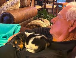 Happy anniversary to Buck