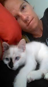 Fundraiser by Emily Rodriguez : Car Accident and Cat Seizures: We Need You