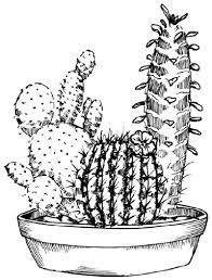 Andrea kirk | the art chik. How To Draw A Cactus Howstuffworks