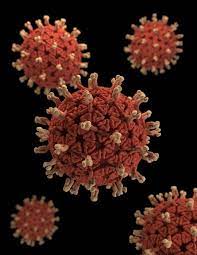 Las infecciones ocurren casi siempre en invierno o en primavera. Photos Of Rotavirus Cdc