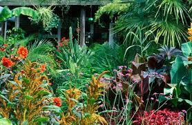 See also 65+ diy elevated garden beds you can build in a day Tropical Flower Garden Design Ideas